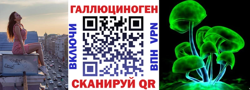 купить наркоту  Шадринск  Галлюциногенные грибы Psilocybe 