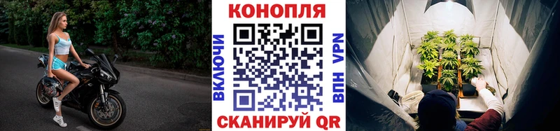 Шишки марихуана сатива Шадринск